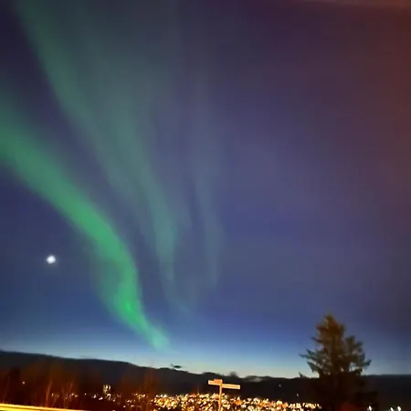 Narvikfjellet Cozy 2br *